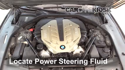 2010 BMW 750Li 4.4L V8 Turbo Líquido de dirección asistida Agregar líquido